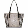 Medium Asher Alabaster Fontaine -BRAHMIN Sales N69 1970 00794 1