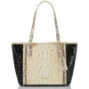 Medium Asher Ivory Iguana Rockville 2 Medium Asher Ivory Iguana Rockville -BRAHMIN Sales N69 2160 00885 1