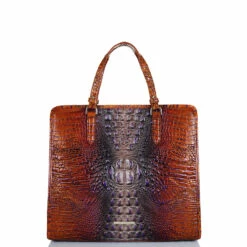 BRAHMIN Sales 55 Tia Crown Ombre Melbourne