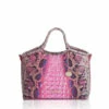 Small Elaine Pink Cobra Ombre Melbourne 1 Small Elaine Pink Cobra Ombre Melbourne -BRAHMIN Sales T37 1708 00713 1