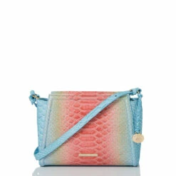 Hillary Daylily Volute