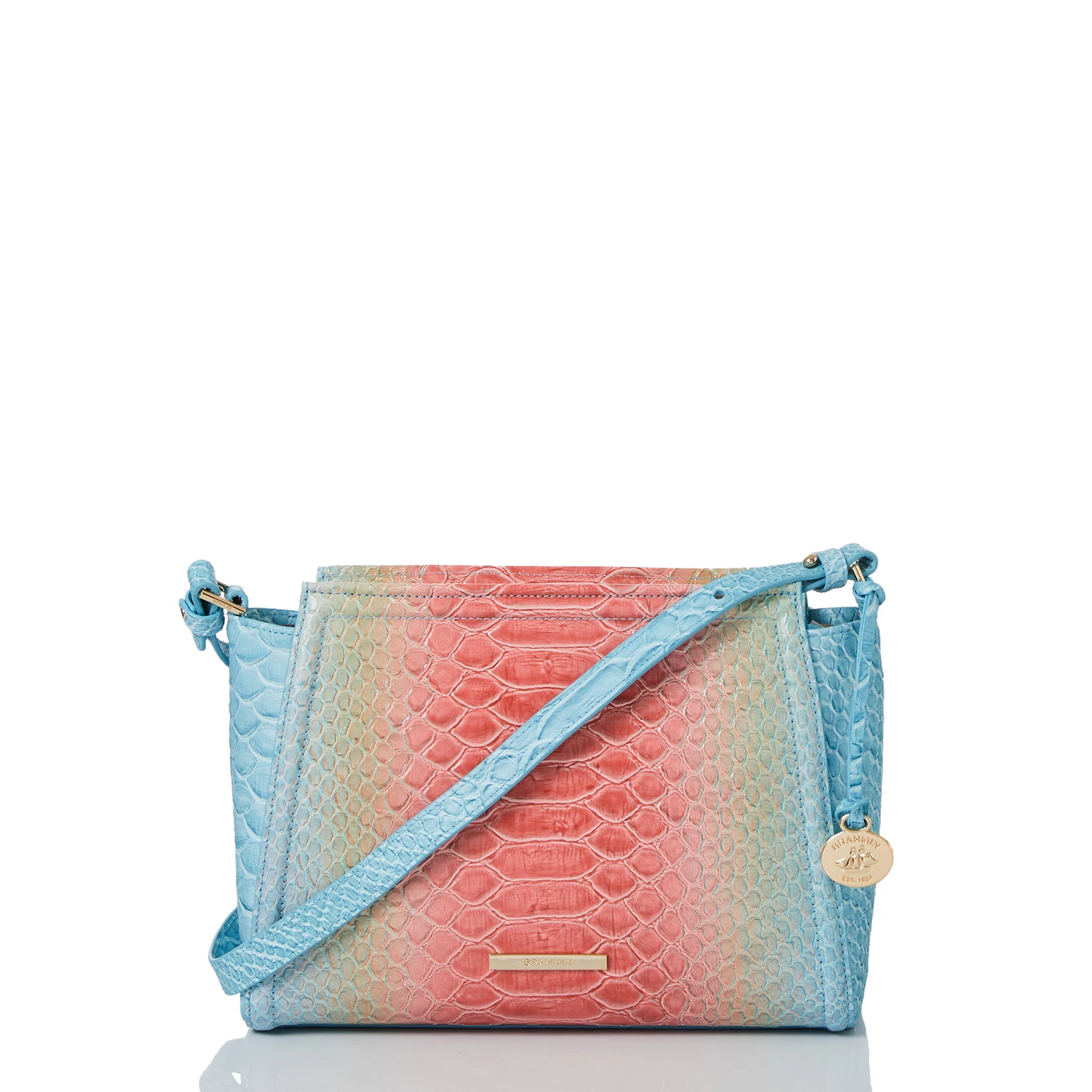 Hillary Daylily Volute 3 Hillary Daylily Volute