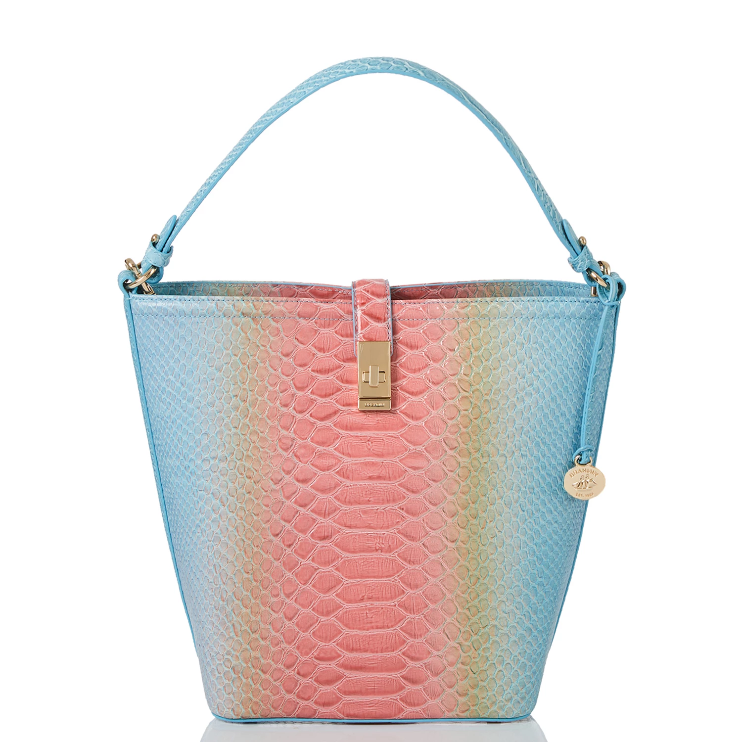 Shira Daylily Volute 3 Shira Daylily Volute