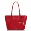 Ashlee Carnation Melbourne -BRAHMIN Sales T73 151 00040 1