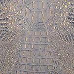 Ashlee Regal Mini Melbourne 8 Ashlee Regal Mini Melbourne - Image 6