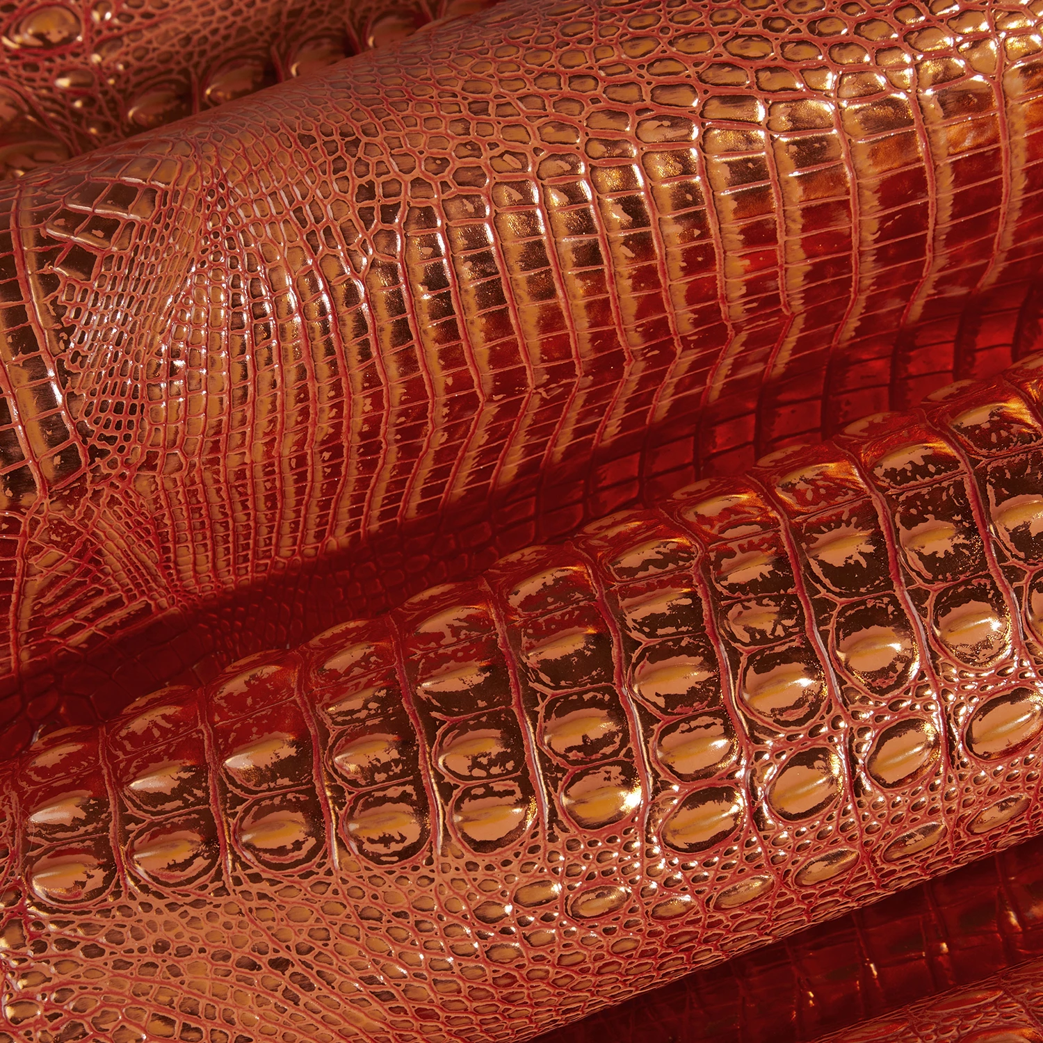 Cassia Orange Potion Melbourne 7 Cassia Orange Potion Melbourne - Image 5