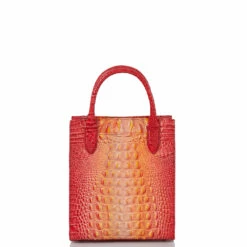 Moira Infusion Ombre Melbourne -BRAHMIN Sales U82 1708 00845 3