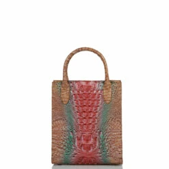 Moira Lakeridge Ombre Melbourne -BRAHMIN Sales U82 1708 00901 3