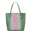 Ezra Apple Blush Ombre Melbourne -BRAHMIN Sales U95 1708 00861 1