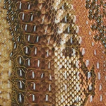 Cynthia Pecan Spicewood 11 Cynthia Pecan Spicewood - Image 9